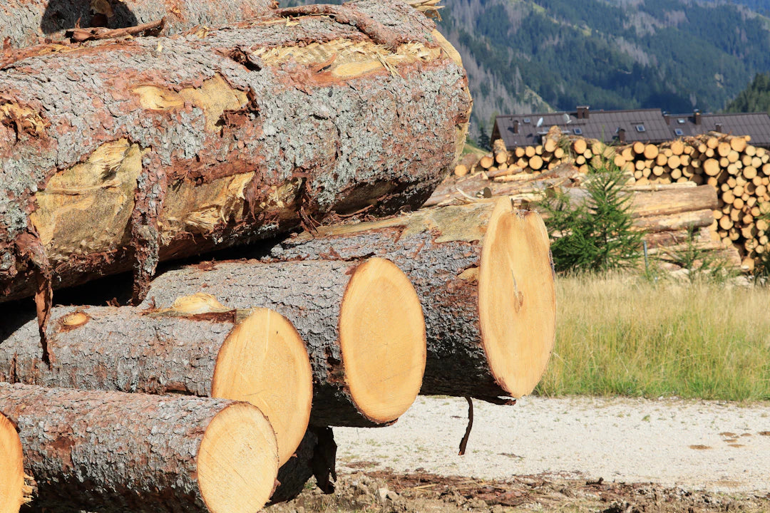 The Environmental Impact of Using Sustainable Wood in Puzzles