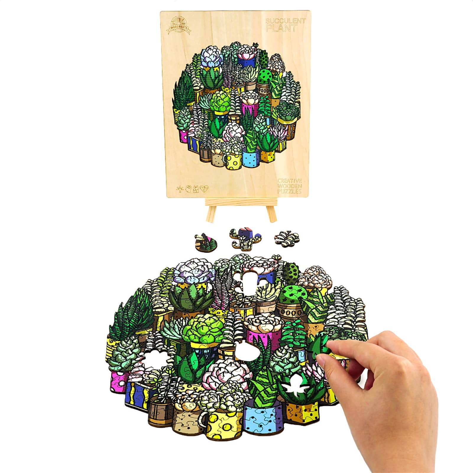 Whimsical Wooden Jigsaw Puzzle - SUCCULENT PLANT - pickApuzzle
