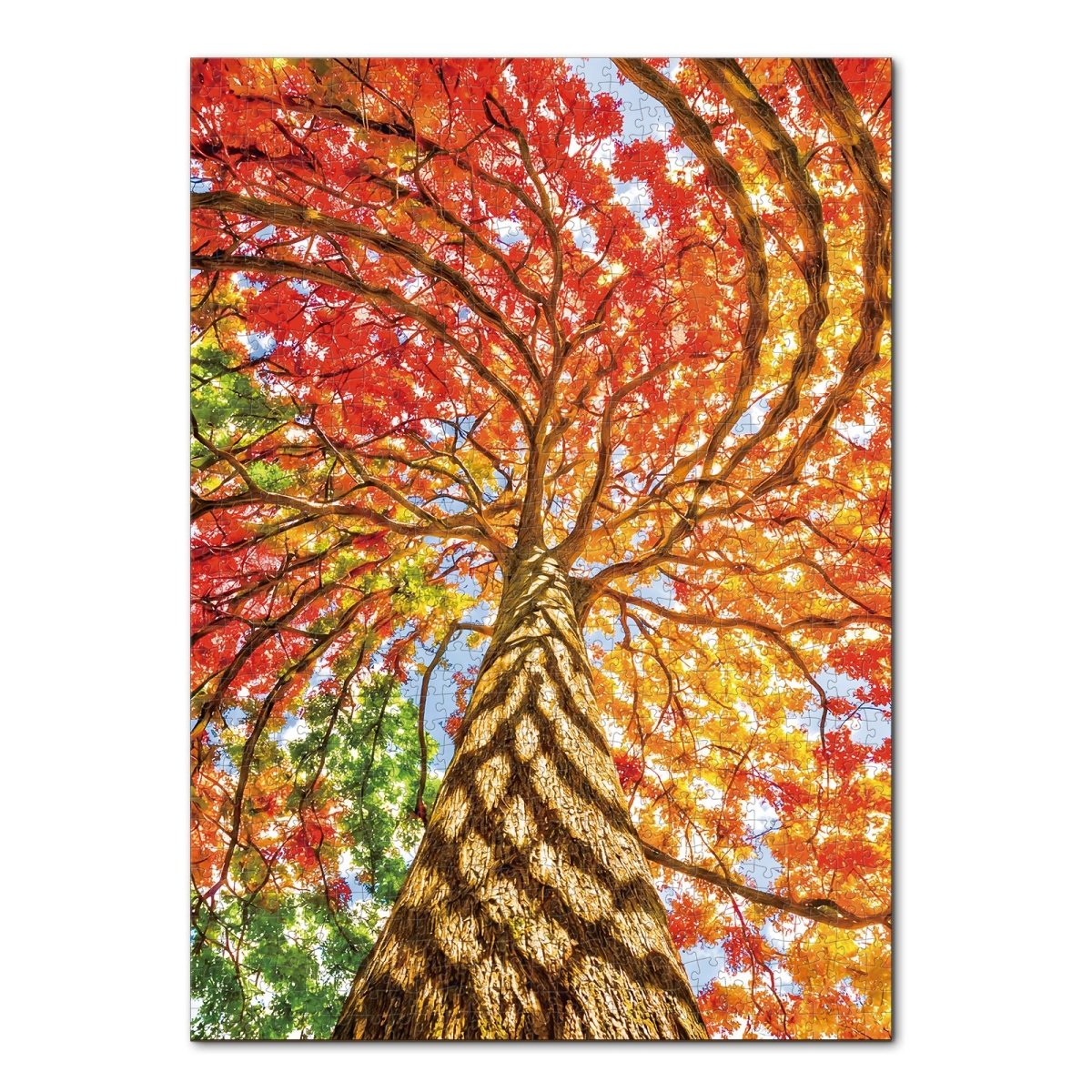 Artistic 1000 - Piece Cardboard Jigsaw Puzzle - Geometric Tree - KAAYEE Puzzle