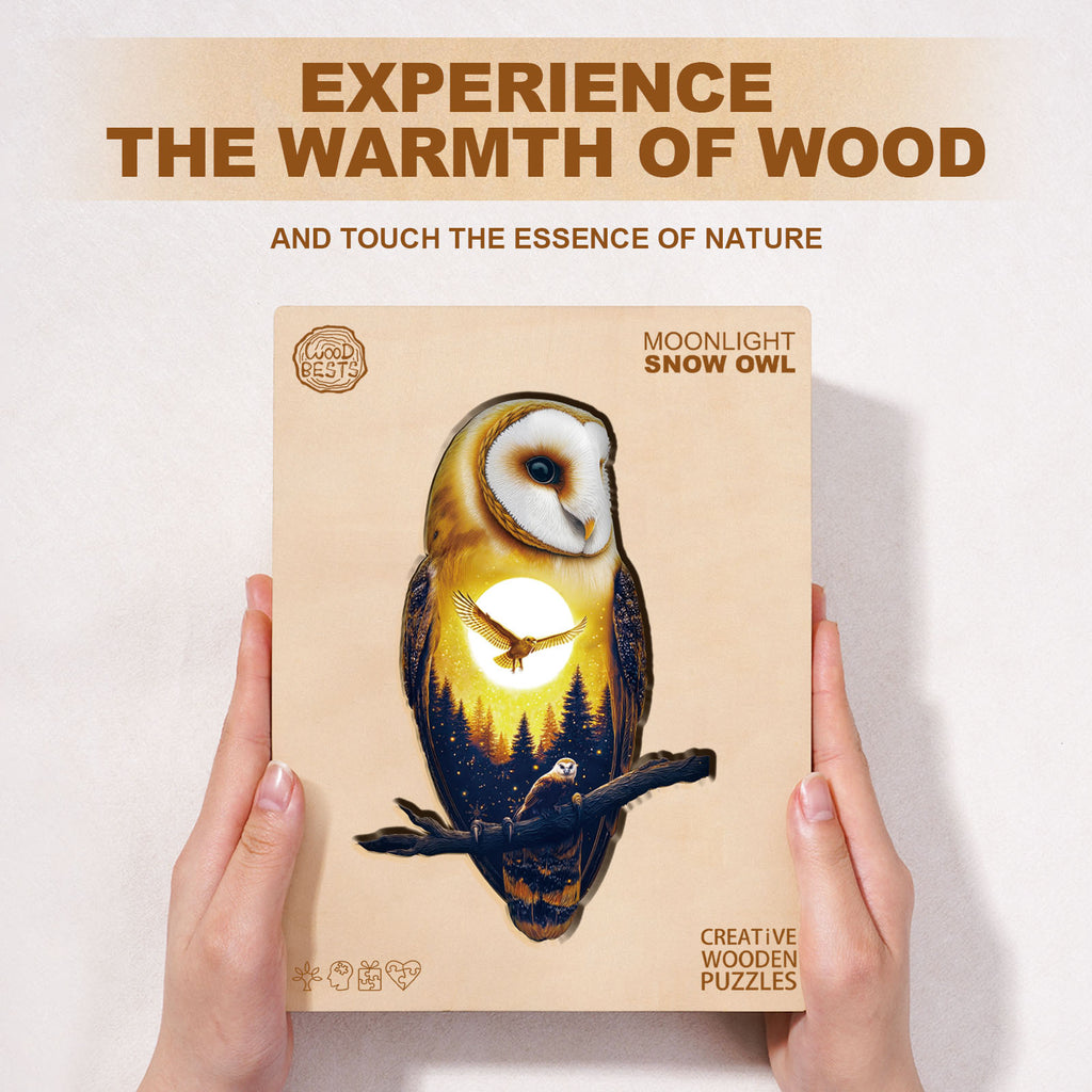 Whimsical Wooden Jigsaw Puzzle - Moonlight Snow Owl - pickApuzzle